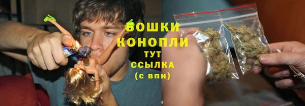 гидра Заводоуковск
