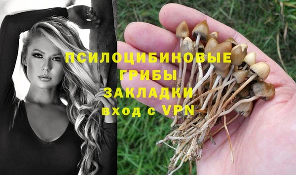 МДПВ Заволжье