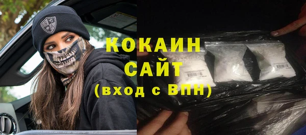 гидра Заводоуковск